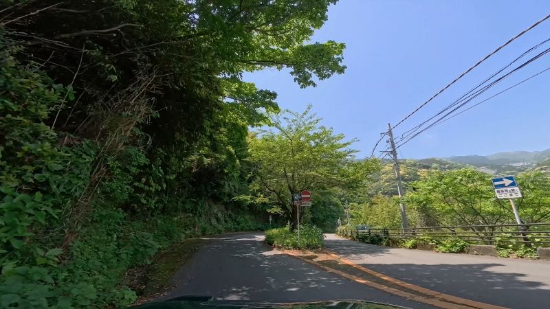 頼朝ライン
